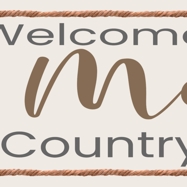 Baby Memphis Banner 2′ x 16′